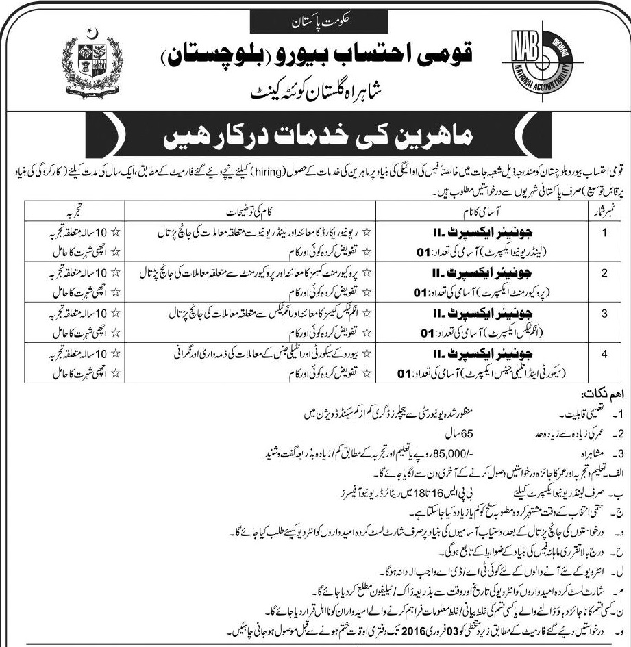 NAB Balochistan Junior Expert Jobs 2024 January Application Form Download Advertisement