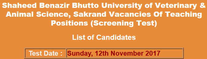 SBBUVAS Sakrand Jobs NTS Test Result 2024 12th November Professor Lecturer