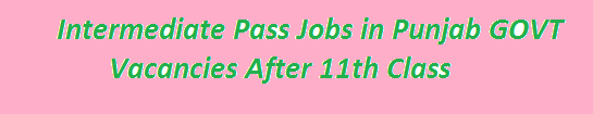 Intermediate Pass Jobs in Punjab 2024 GOVT Vacancies After 11th Class