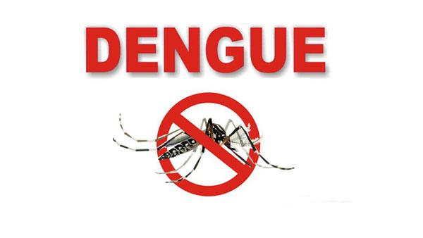 Dengue Spray Helpline Number Free 2024 in Lahore, Islamabad, Faisalabad Punjab Complaint Number