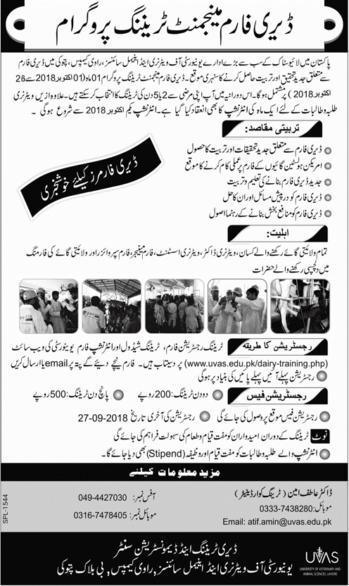 UVAS Dairy Farm Management Training Program 2024 Application Form Internship