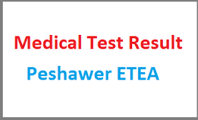 ETEA Medical Entry Test Result 2024 By Name, Roll No