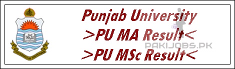 Punjab University PU MA, MSC Result 2024 Part 2, 1 Annual